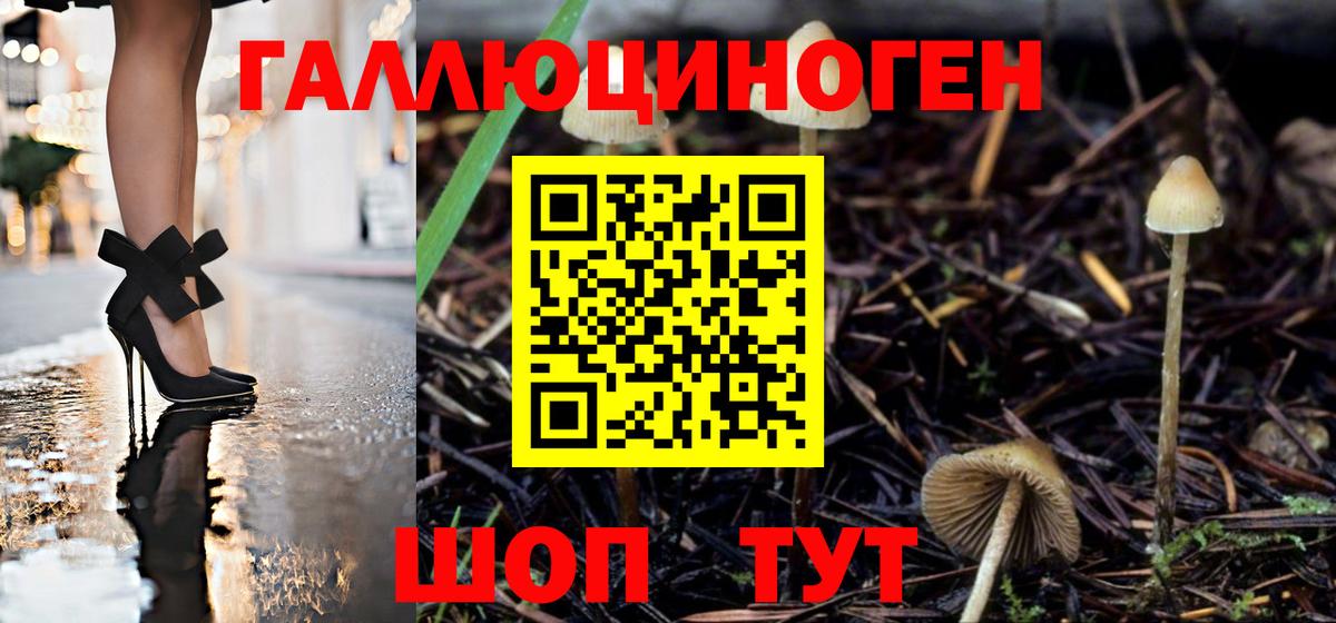 Псилоцибиновые грибы GOLDEN TEACHER  что такое   Торжок  Псилоцибиновые грибы прущие грибы  Вход с VPN 